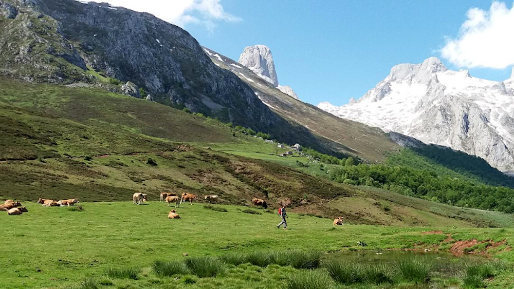 Collado Pandebano. Al fondo el Naranjo de Bulnes,