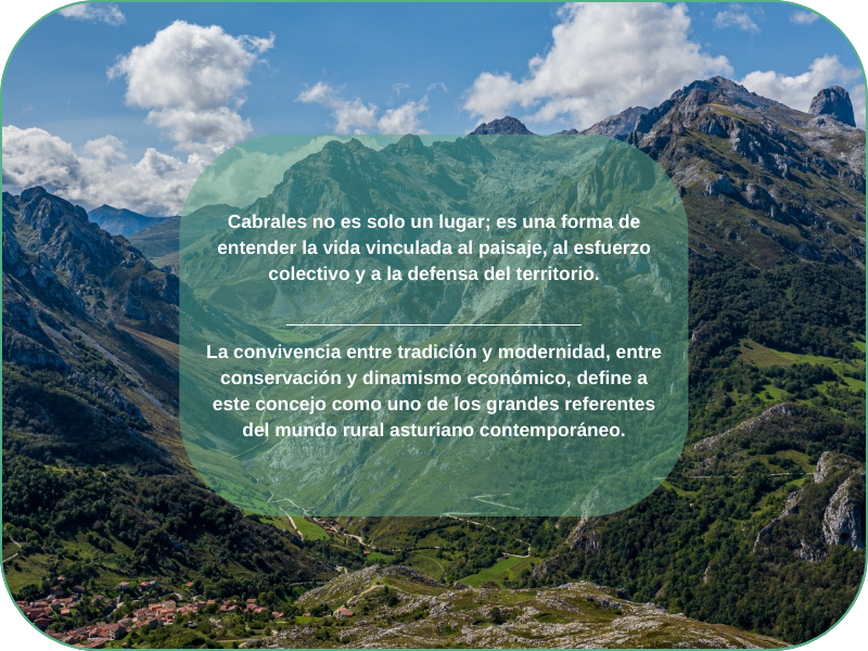 Resumen del Apartado