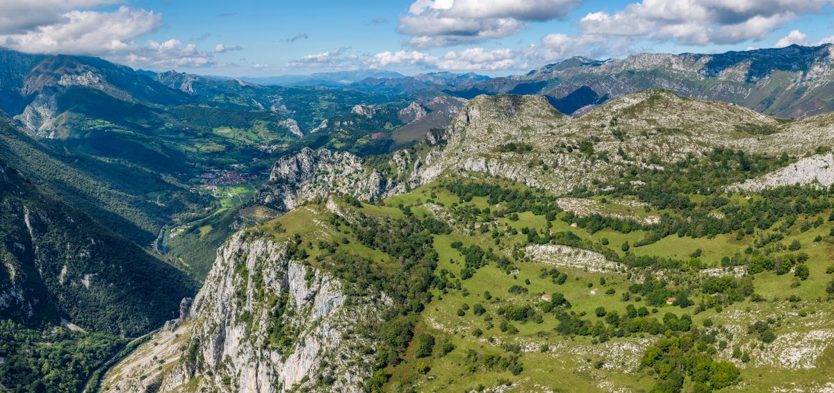 Una Vegetación rica y contrastada